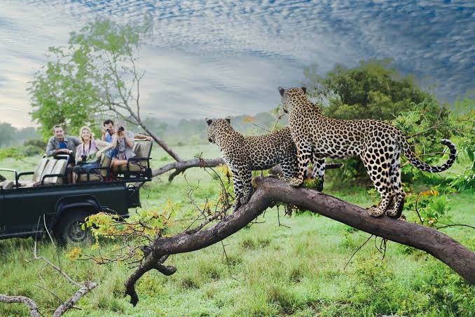 2-Day Amboseli Safari